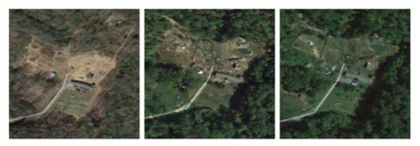 The ABCs of Homesteading:  O is for Organic and Beyond Image